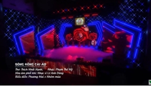BÔNG HỒNG CÀI ÁO