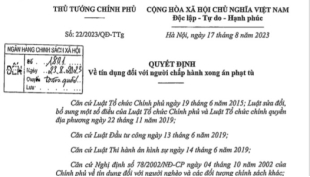 QUYẾT ĐỊNH SỐ 22/2023/QĐ-TTg  VỀ TÍN DỤNG ĐỐI VỚI NGƯỜI CHẤP HÀNH XONG ÁN PHẠT TÙ
