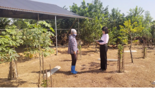 HÀ NỘI: Hỗ trợ việc làm cho người chấp hành xong án phạt tù